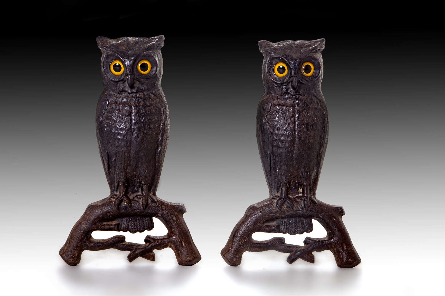 A  wonderful pair of Owl andirons