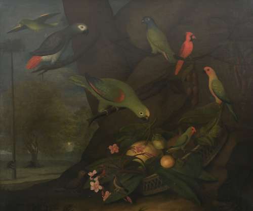 18th century painting of birds of Africa and Central America