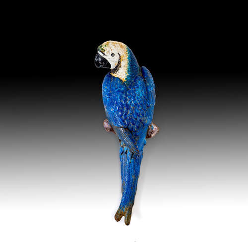 A blue and yellow macaw